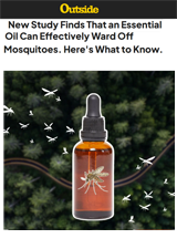 New Study Finds an Essential Oil that Wards Off Mosquitoes